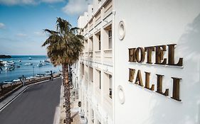Hotel Falli
